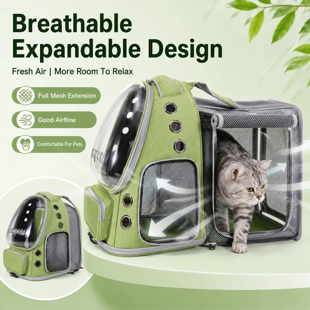 Spacious Expandable Pet Backpack Carrier with Dual Shoulder Straps Top Handle All-Season Design for Comfortable Travel